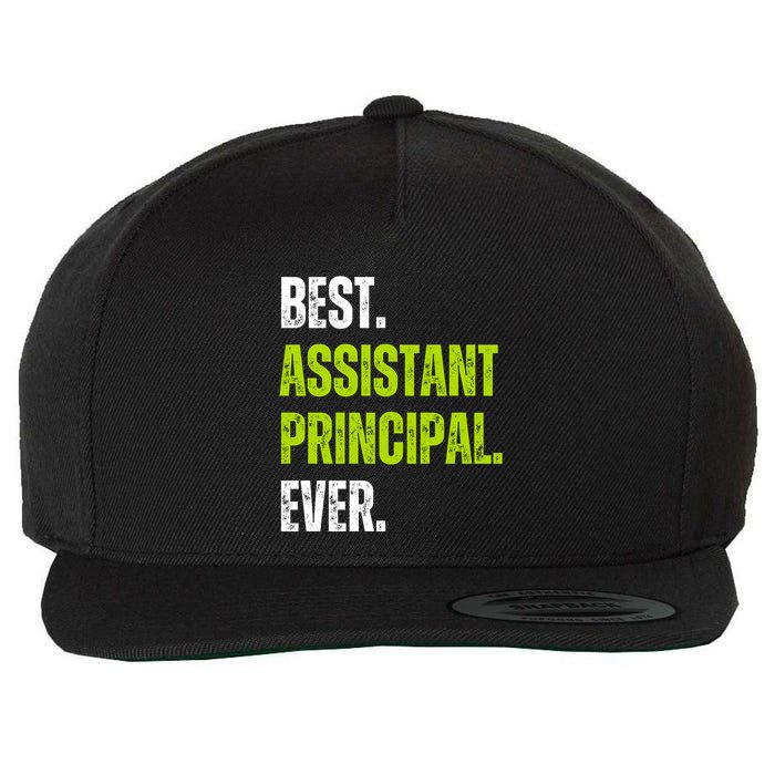 Best Assistant Principal Ever Funny Wool Snapback Cap
