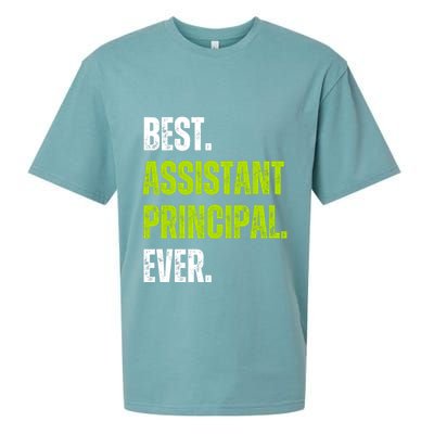 Best Assistant Principal Ever Funny Sueded Cloud Jersey T-Shirt