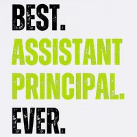Best Assistant Principal Ever Funny Garment-Dyed Sweatshirt