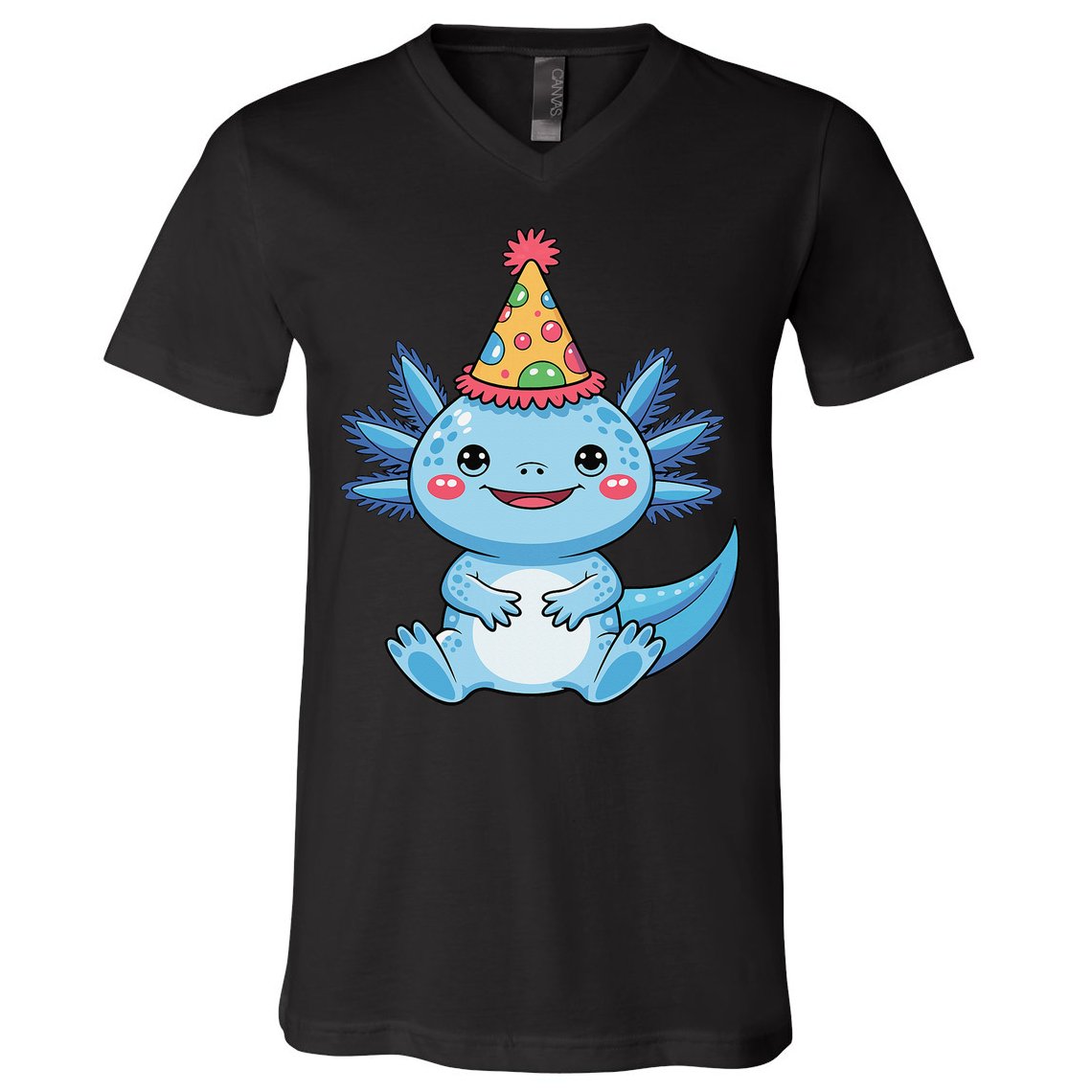 Birthday Axolotl Party Gift V-Neck T-Shirt