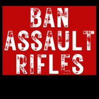 Ban Assault Rifles Not Books Sustainable Knit Beanie