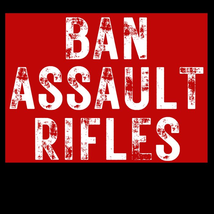 Ban Assault Rifles Not Books Sustainable Knit Beanie