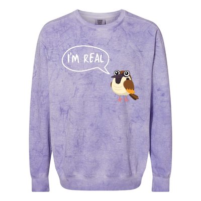 Birds Are Real Colorblast Crewneck Sweatshirt