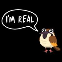 Birds Are Real 16 in Basic Backpack