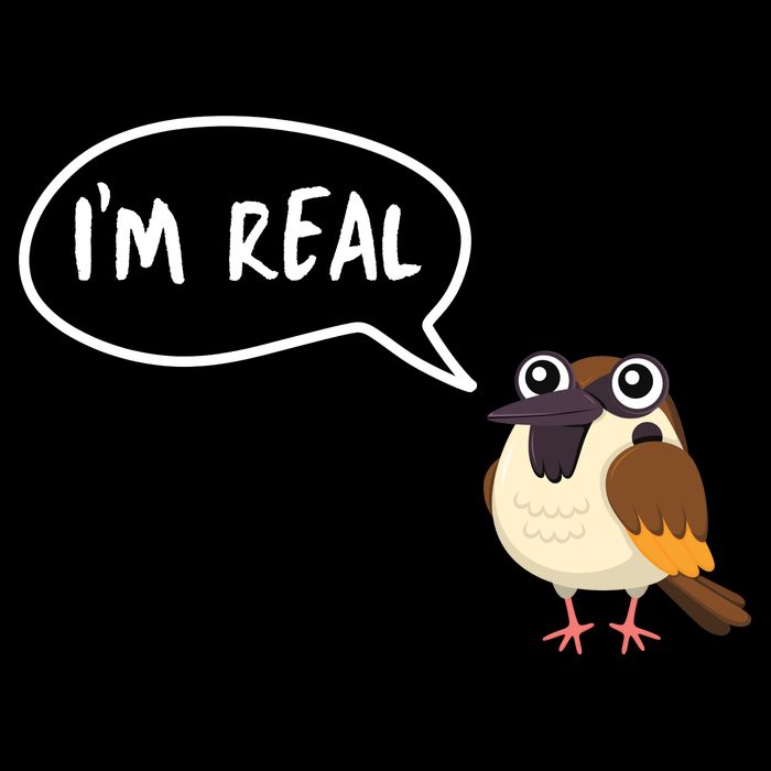 Birds Are Real 16 in Basic Backpack