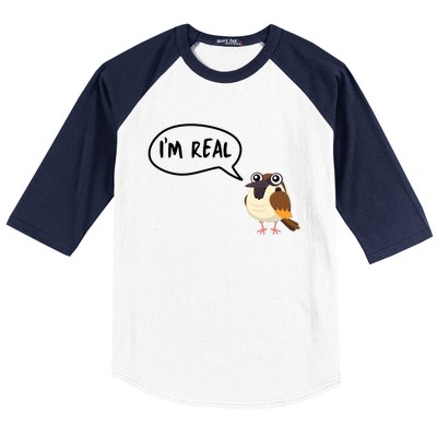 Birds Are Real Baseball Sleeve Shirt