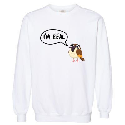 Birds Are Real Garment-Dyed Sweatshirt