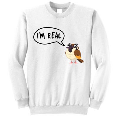 Birds Are Real Sweatshirt