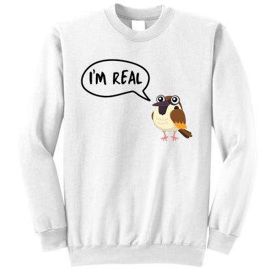 Birds Are Real Sweatshirt