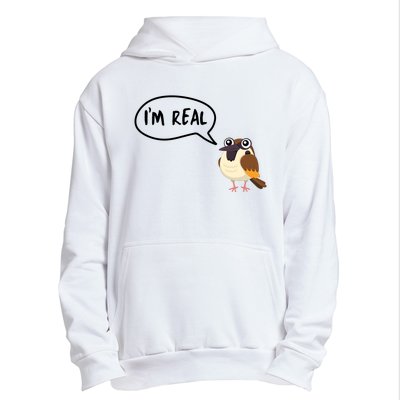 Birds Are Real Urban Pullover Hoodie