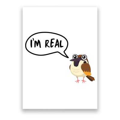 Birds Are Real Poster