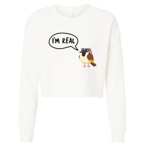 Birds Are Real Cropped Pullover Crew