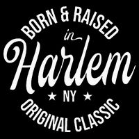 Born And Raised In Harlem 16 in Basic Backpack