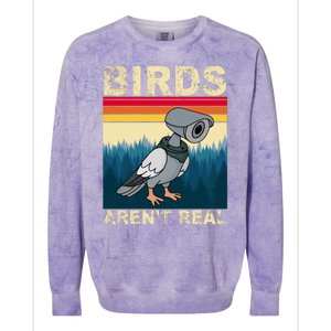 Birds Aren't Real Camera Sunset Colorblast Crewneck Sweatshirt