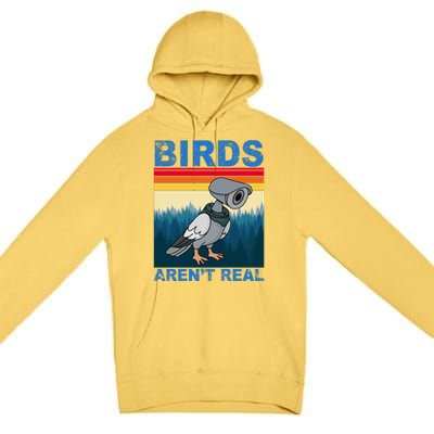 Birds Aren't Real Camera Sunset Premium Pullover Hoodie