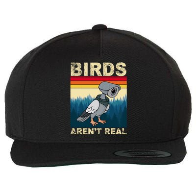 Birds Aren't Real Camera Sunset Wool Snapback Cap