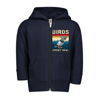 Birds Aren't Real Camera Sunset Toddler Zip Fleece Hoodie