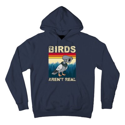 Birds Aren't Real Camera Sunset Hoodie