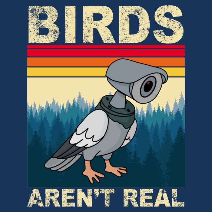 Birds Aren't Real Camera Sunset T-Shirt