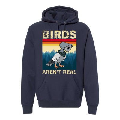 Birds Aren't Real Camera Sunset Premium Hoodie