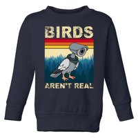 Birds Aren't Real Camera Sunset Toddler Sweatshirt