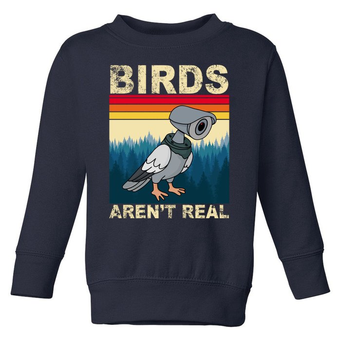 Birds Aren't Real Camera Sunset Toddler Sweatshirt