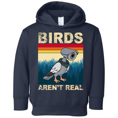 Birds Aren't Real Camera Sunset Toddler Hoodie