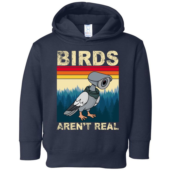 Birds Aren't Real Camera Sunset Toddler Hoodie