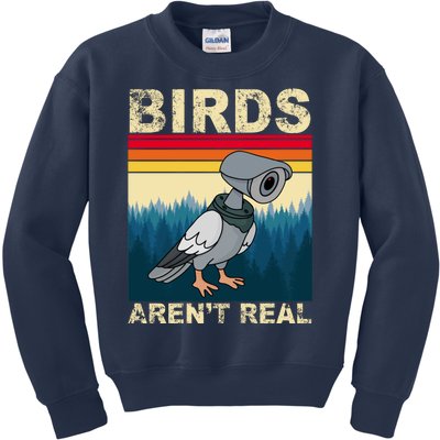 Birds Aren't Real Camera Sunset Kids Sweatshirt