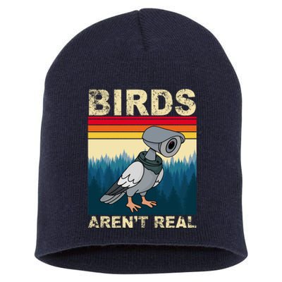 Birds Aren't Real Camera Sunset Short Acrylic Beanie