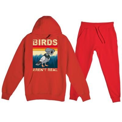 Birds Aren't Real Camera Sunset Premium Hooded Sweatsuit Set