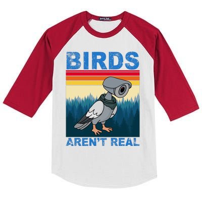 Birds Aren't Real Camera Sunset Kids Colorblock Raglan Jersey