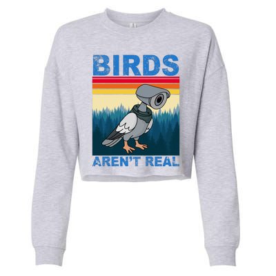 Birds Aren't Real Camera Sunset Cropped Pullover Crew