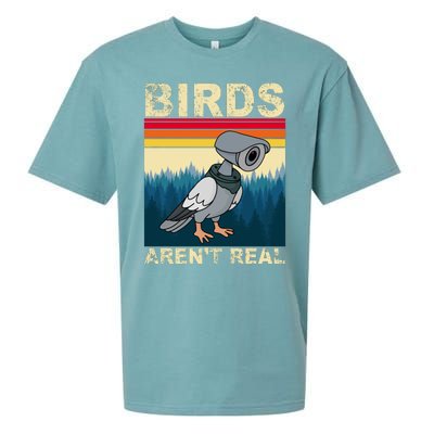 Birds Aren't Real Camera Sunset Sueded Cloud Jersey T-Shirt