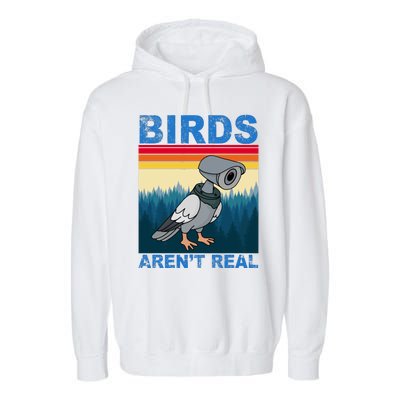 Birds Aren't Real Camera Sunset Garment-Dyed Fleece Hoodie