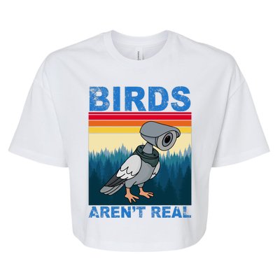 Birds Aren't Real Camera Sunset Bella+Canvas Jersey Crop Tee