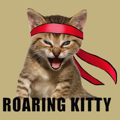 Be A Roaring Kitty Game The Stop Orange Bandana Meme T-Shirt