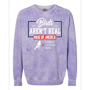 Birds Aren't Real Wake Up America Colorblast Crewneck Sweatshirt