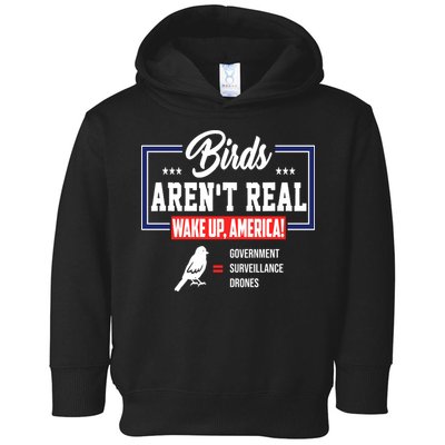 Birds Aren't Real Wake Up America Toddler Hoodie