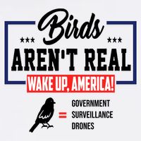 Birds Aren't Real Wake Up America Baby Bodysuit