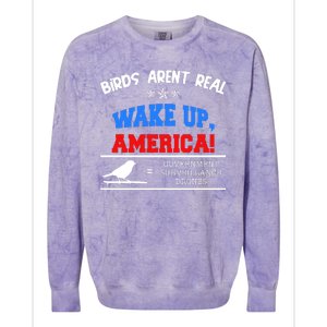 Birds Aren't Real Wake Up America Awareness Colorblast Crewneck Sweatshirt