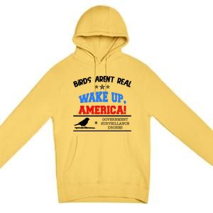 Birds Aren't Real Wake Up America Awareness Premium Pullover Hoodie