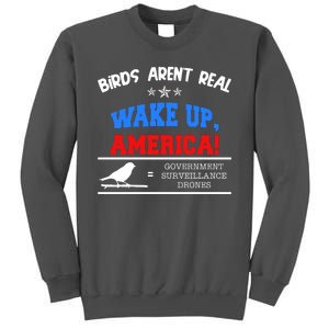 Birds Aren't Real Wake Up America Awareness Tall Sweatshirt