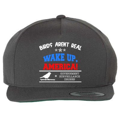 Birds Aren't Real Wake Up America Awareness Wool Snapback Cap