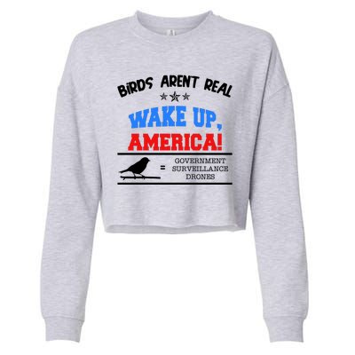 Birds Aren't Real Wake Up America Awareness Cropped Pullover Crew