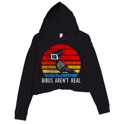 Birds Aren't Real Bird Drone Drones Camera Crop Fleece Hoodie