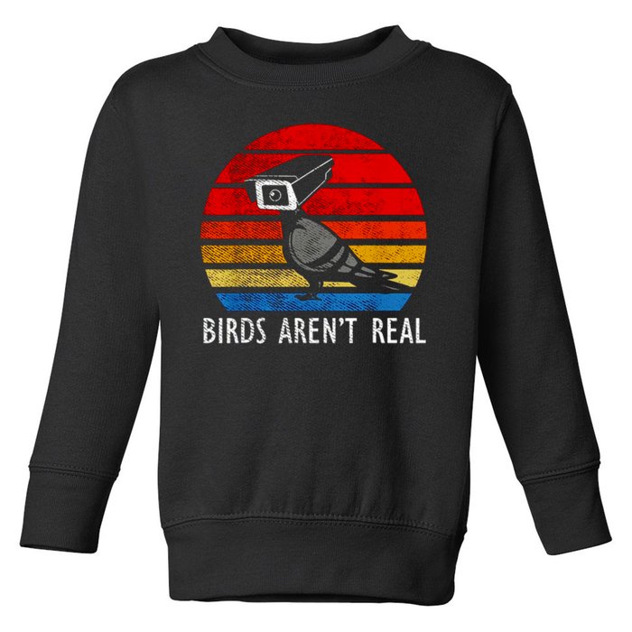 Birds Aren't Real Bird Drone Drones Camera Toddler Sweatshirt