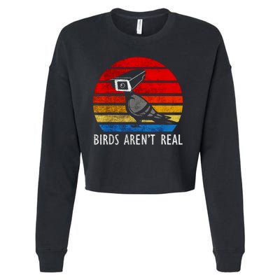 Birds Aren't Real Bird Drone Drones Camera Cropped Pullover Crew