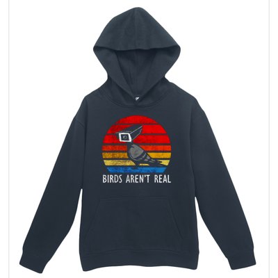 Birds Aren't Real Bird Drone Drones Camera Urban Pullover Hoodie