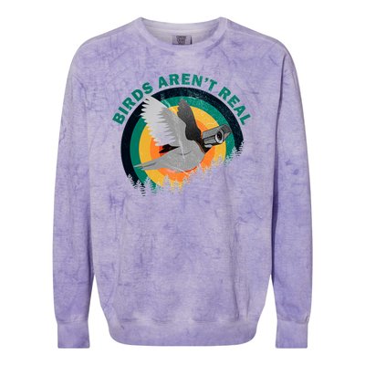 Birds Aren't Real They're Government Camera Colorblast Crewneck Sweatshirt